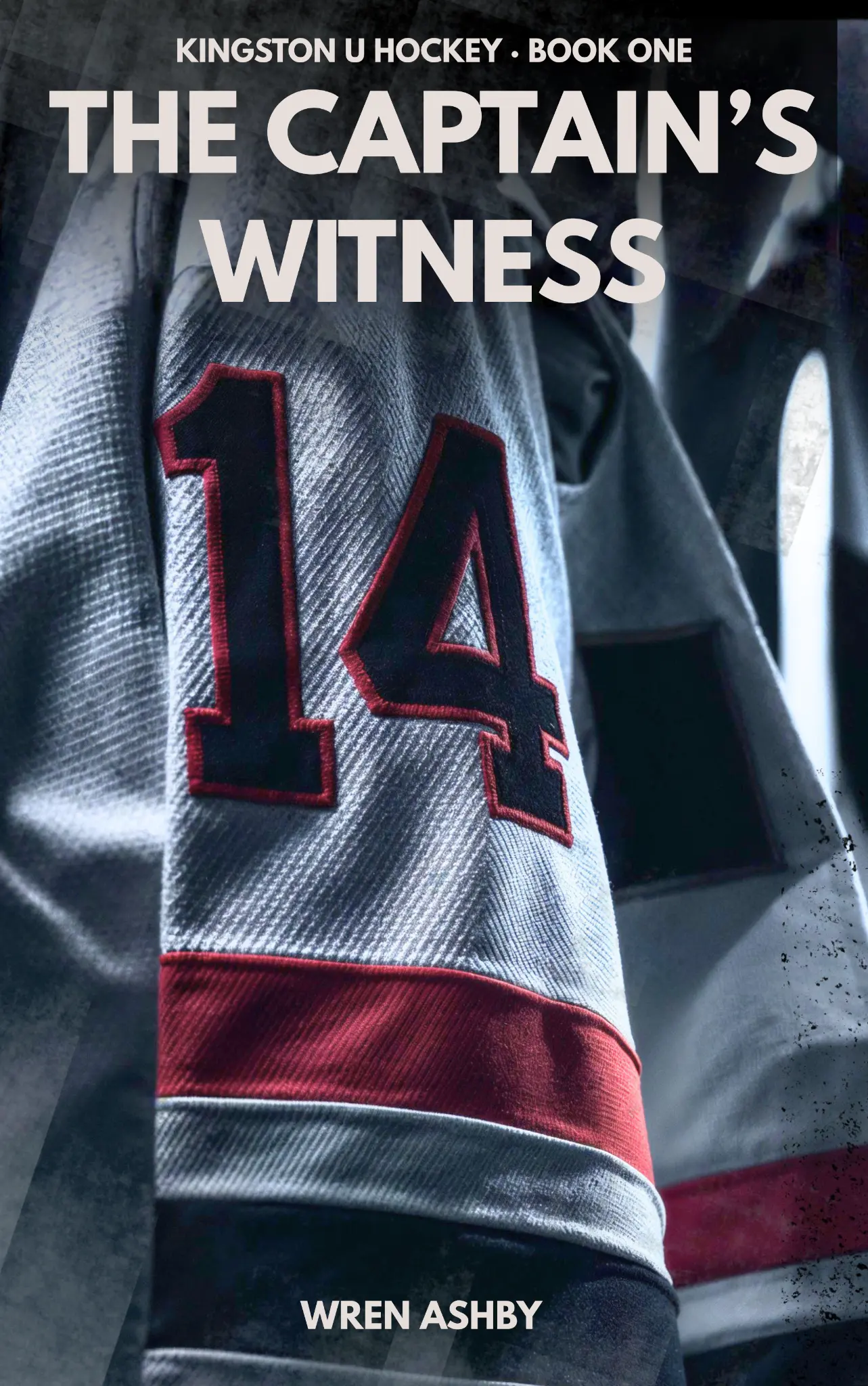 The Captain's Witness cover